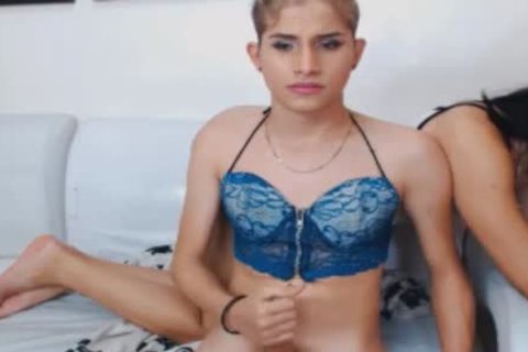 horny trannies joy Each Others penises And Holes