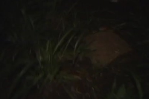 shelady hoes 46 Costanza