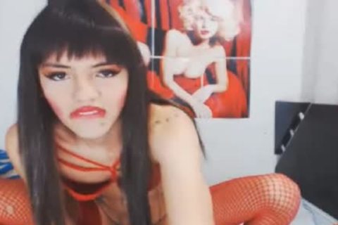 latin chick tranny receives Her pretty arse fucked