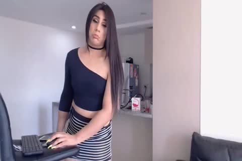plump Trans