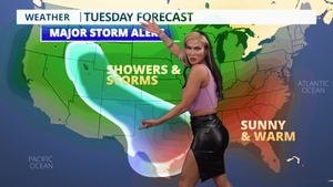 Trans Angels: Cameraman's Throbbing Erection for Domino