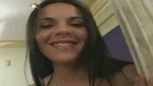 Brazilian Travestis Fantasias